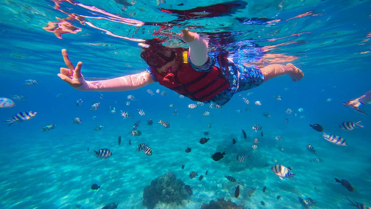 Underwater view of colorful coral reef and tropical fish in St. John waters