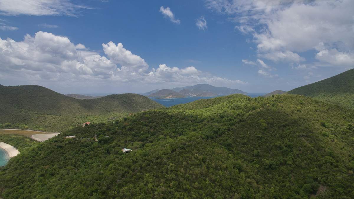Pristine coral reef in Virgin Islands National Park waters with vibrant marine life and crystal clear visibility