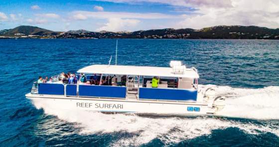 USVI Half-Day Group Catamaran Snorkel & Sightseeing Tour - Per-Person Adventures charter departing from American Yacht Harbor, St. Thomas, US Virgin Islands | 4 Hours, up to 49 guests