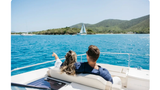 Full-Day Private BVI Luxury Catamaran Charter to Jost Van Dyke — BVI Trips charter departing American Yacht Harbor, Red Hook, St. Thomas — photo 1 of 15
