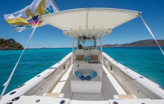 Private Full-Day BVI White Bay Powerboat Charter - BVI Trips charter departing from Cruz Bay National Park Dock, St. John, US Virgin Islands | 6 Hours, up to 6 guests